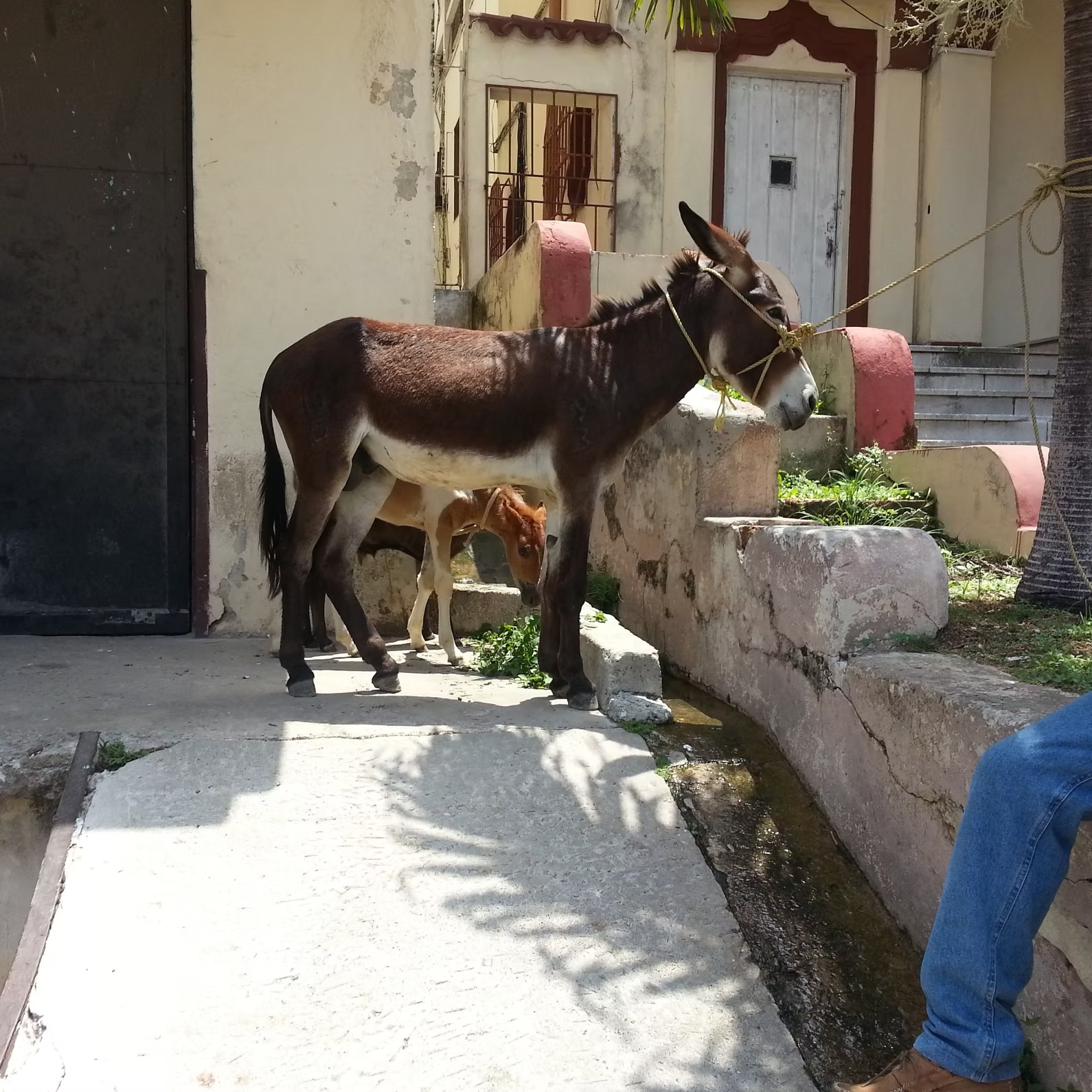 CUBA