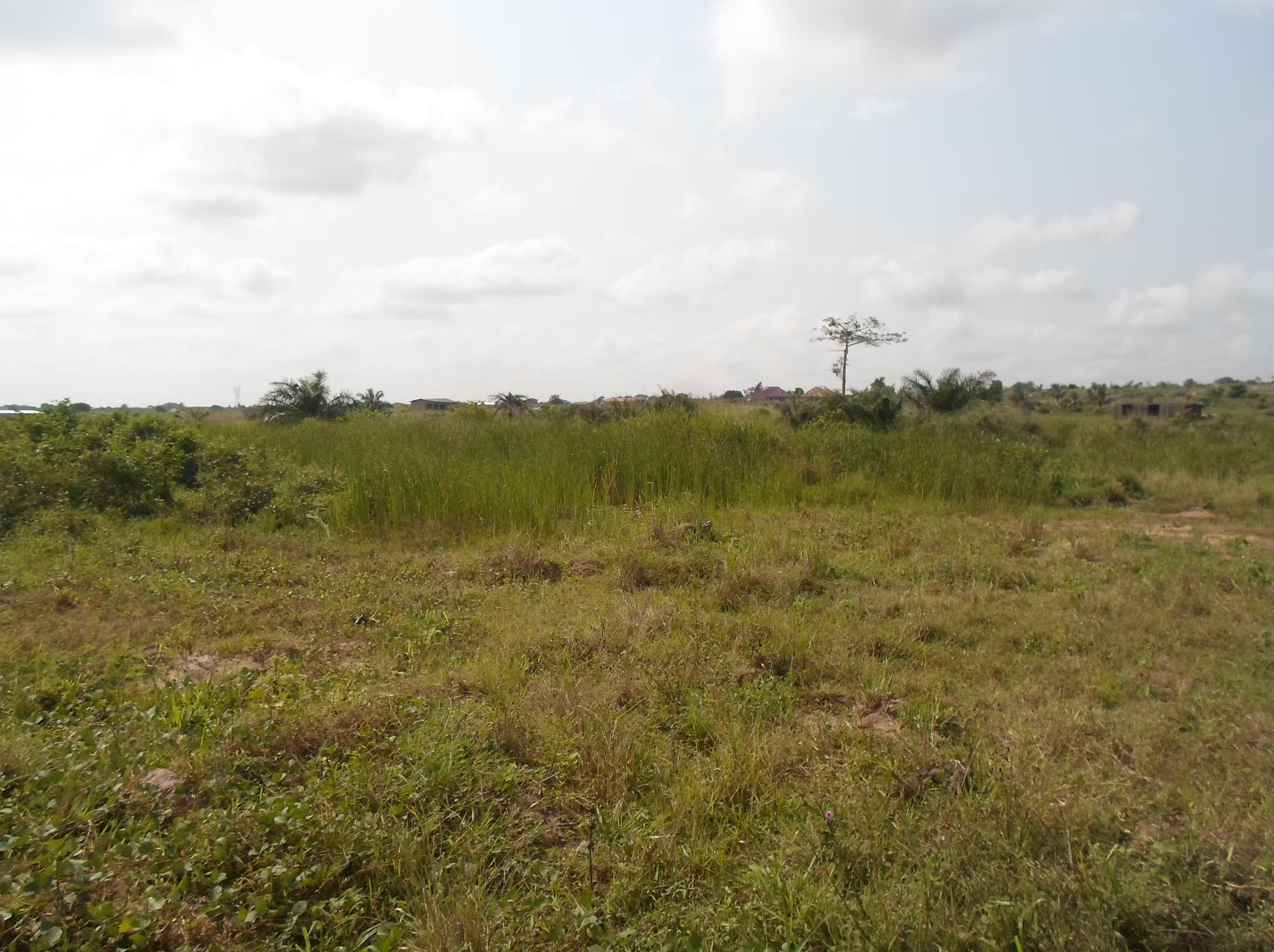 GHANA