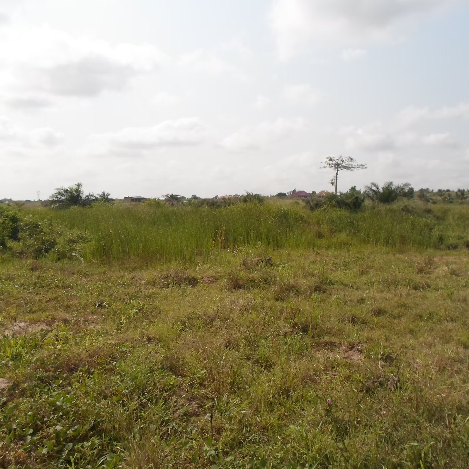 KASOA