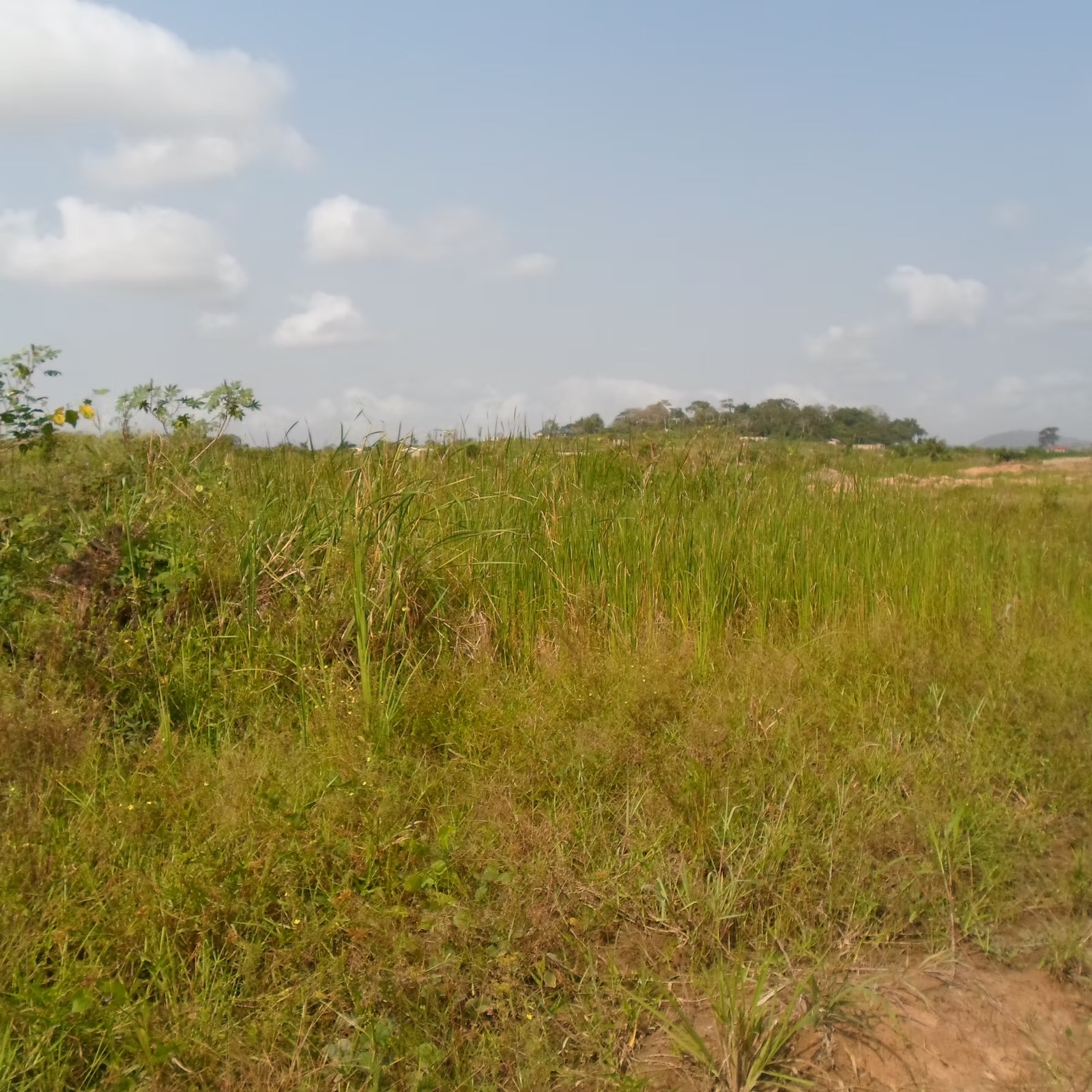 KASOA